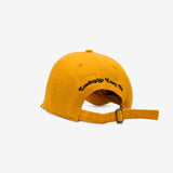 As Promised Progress Hat